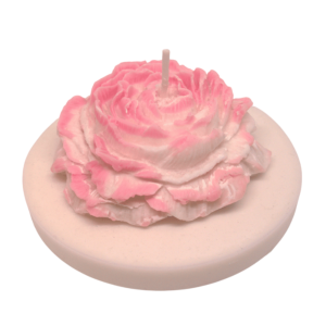 Roze roos op plat plateau